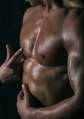 Fototapeta na wymiar Male muscular torso