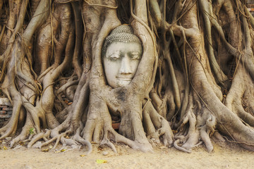 Head of Buddha statue in the tree roots at Wat Mahathat temple, Ayutthaya, Thailand.