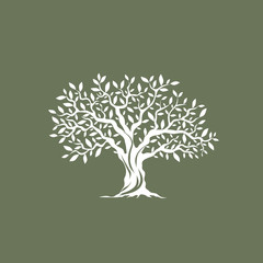 Obraz premium Piękna wspaniała drzewo oliwne sylwetka na szarym tle. Plansza nowoczesny wektor znak. Koncepcja projektowania logo wysokiej jakości ilustracji.