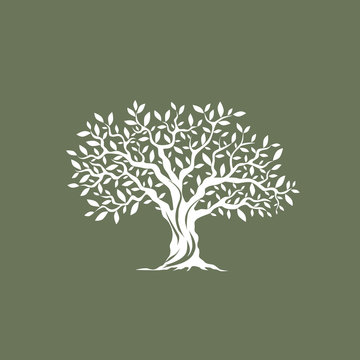 Beautiful magnificent olive tree silhouette on grey background. Infographic modern vector sign. 
Premium quality illustration logo design concept.