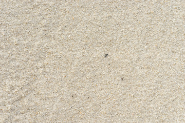 sand texture on the beach