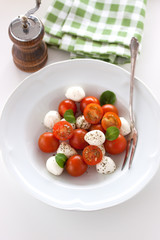 Mozzarella with tomatoes, italian herbs and salad leaves on a white plate on a table, closeup, selective focus.