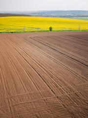 Plowed field in spring-time with tractor tyre track