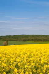 Spring day in rural area