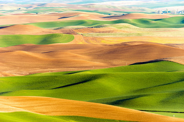 Palouse Region Steptoe Butte Farmland Rolling Hills Agriculture