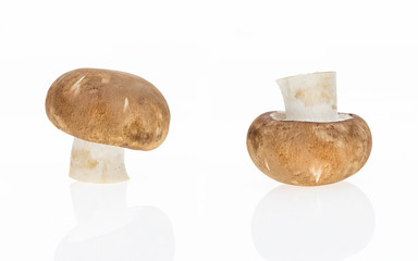 Button mushrooms, isolated on white background.