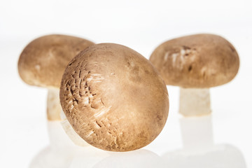 Bunch of button mushrooms, on white background.