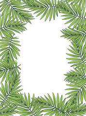 Aloha Hawaii illustration, palm leaves on the white background