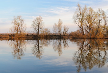 The reflection of sky and trees from the opposite bank in the river