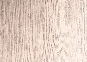 wood grungy background