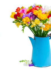 Fresh freesia flowers