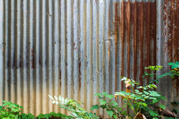 A rusty corrugated iron metal texture.