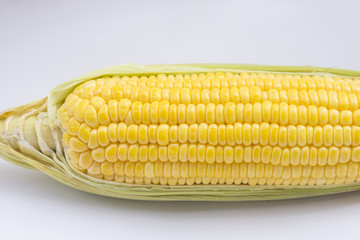 close-up of the the sweet corn on the white background