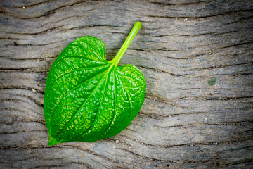 leaf on old wooden background