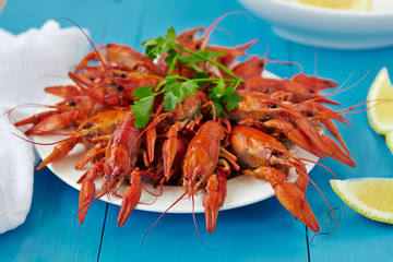 Boiled red crayfish on a white dish with lemon on blue surface.