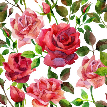 Red roses seamless pattern.