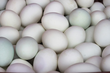 Duck eggs background, Salted eggs.