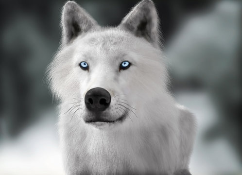 White wild wolf with blue eyes with blurred depth of field winter background. Photo realistic 3d rendering