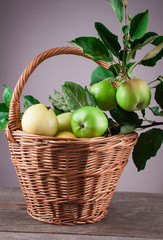 Summer apple in a wicker basket on a wooden table