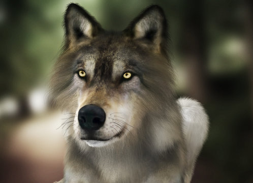 Brown wild wolf with yellow eyes with blurred depth of field nature background. Photo realistic 3d rendering