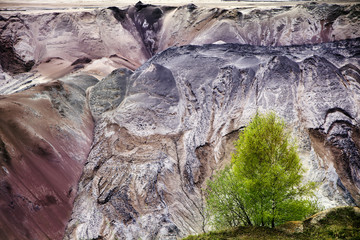 young birch trees in front of the ruined layers of soil from lignite strip mining 
