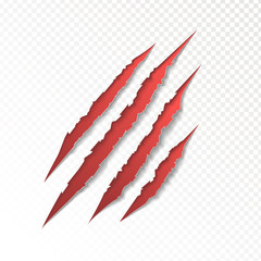 claws scratching animal vector illustration. 
