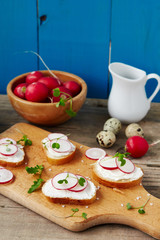 Sandwich with soft cheese and radish