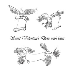 set of Saint Valentine's Dove with letter on engraved style on w
