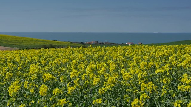 printemps sur la c&ocirc;te d'opale