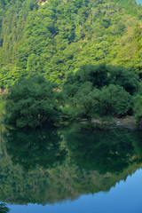 みどり湖の水鏡
