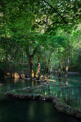 Fototapeta premium Wasserkaskaden im Jura