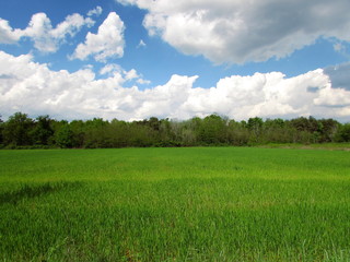 Obraz premium terra e cielo - natura