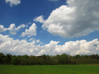 cielo immerso nella natura