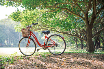 red bicycle in green park