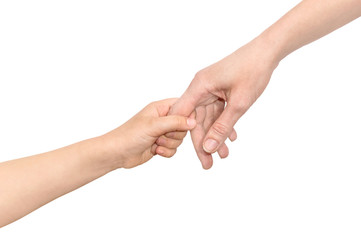 The child holds his mother's hand. Isolated on white.