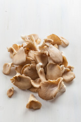 Fresh organic oyster mushrooms