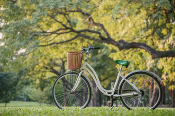 Fototapeta na wymiar white bicycle in green park