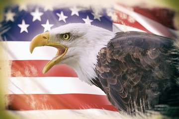 Naklejka premium a beautiful bald eagle with a background of a usa flag