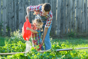 Little gardener girl helping her mother to pour vegetable garden bed with green cucumbers
