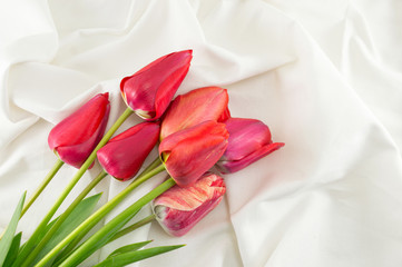 Red tulips on a white fabric