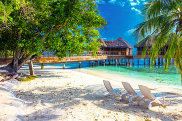 Tropical island with sandy beach, palm trees, overwater bungalow on Maldives