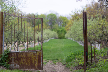 Old rusty metallic gate