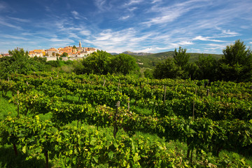 Fototapeta na wymiar Old village with vineyard, blue sky and mountains in Labin, Istria, Croatia