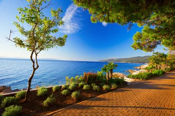 Papier Peint Lavable Côte Incroyable plage rocheuse avec de l& 39 eau de mer cristalline avec des pins sur la côte de la mer Adriatique, Istrie, Croatie