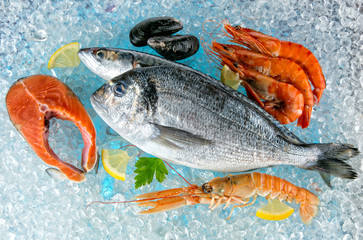 Seafood placed on ice drift