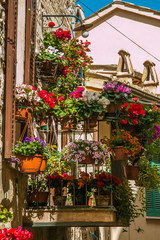 Fototapeta na wymiar Flowerpots and house plants on the balcony. Old alley in Spello