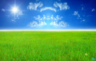 Fototapeta na wymiar Wide image of green grass field and bright blue sky