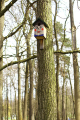 birdhouse