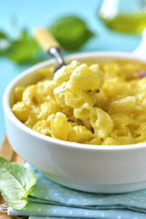 Mac and cheese - traditional american casserole with pasta.