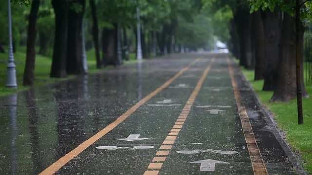 Rainfall on bicycle lanes in a park in springtime